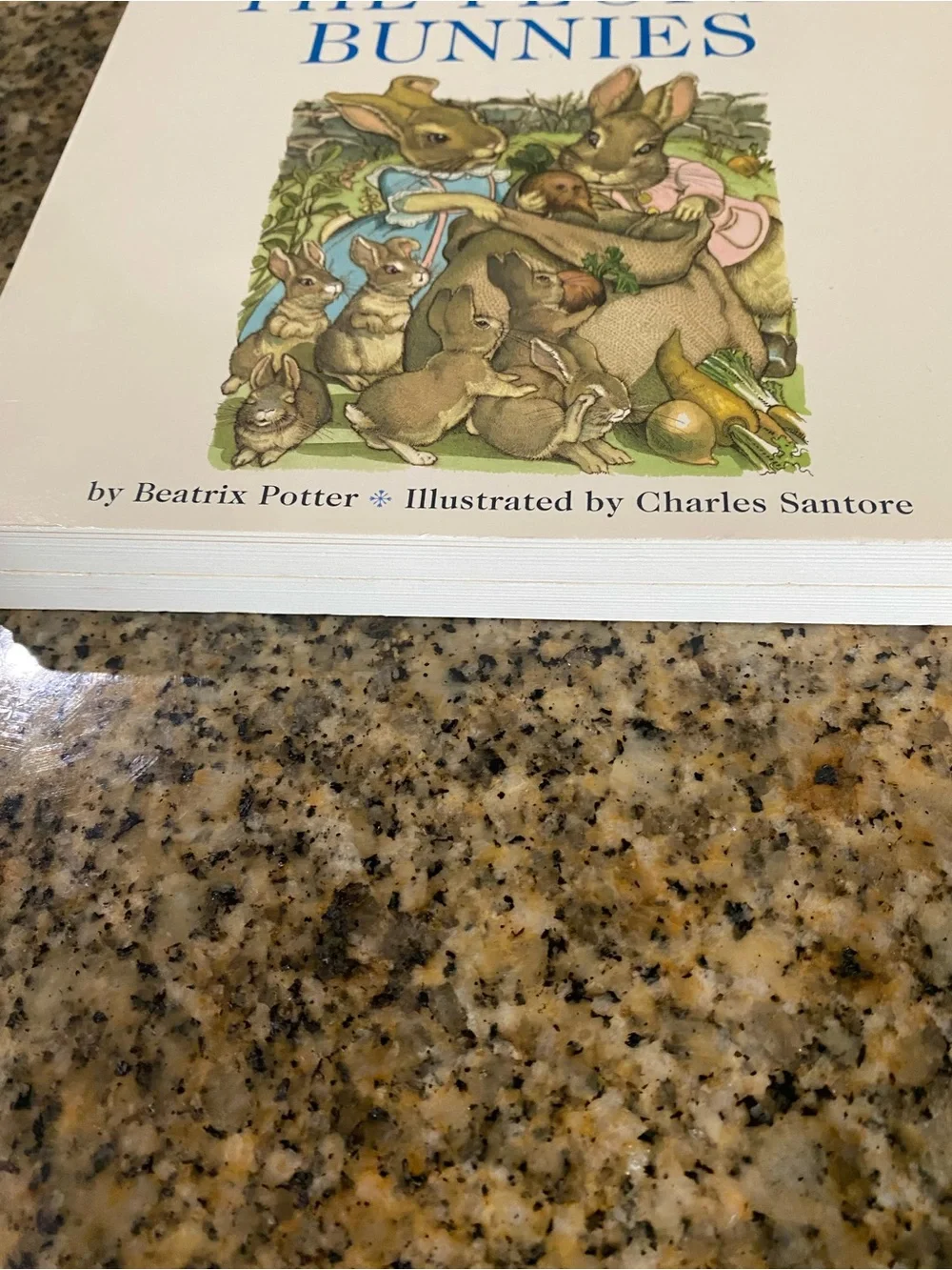 VTG Beatrix Potter Board Book Benjamin Bunny & Flopsy Bunnies Charles Santore